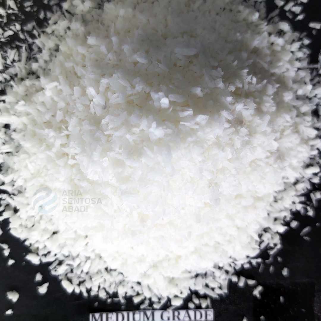 zo-th-1